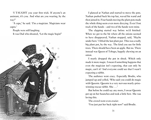 Black and white illustration of a magician with a rabbit and onion.