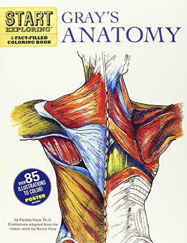 Gray's Anatomy coloring book cover with detailed illustration of human back muscles.