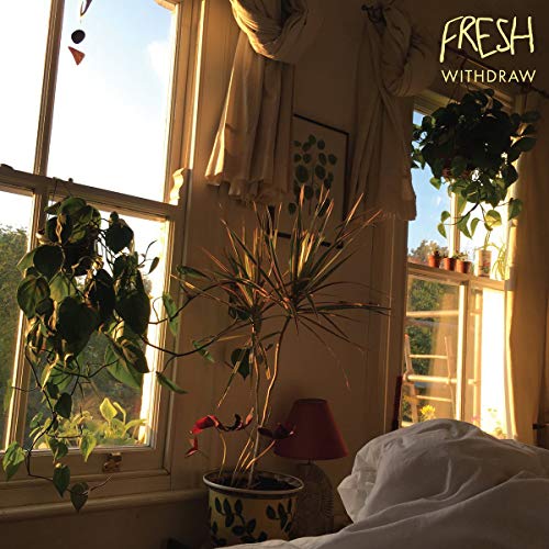 Vinyl album cover: room interior with plants and sunlight.
