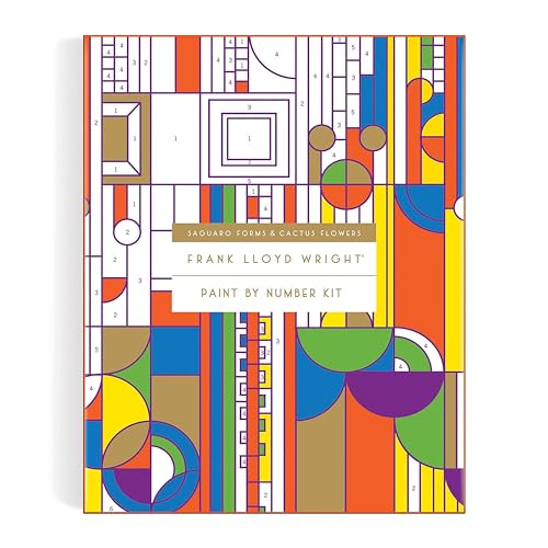 Paint by number kit featuring geometric cactus forms in bright colors.