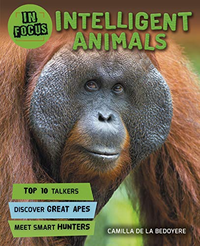 Book cover featuring a close-up portrait of an orangutan’s face.