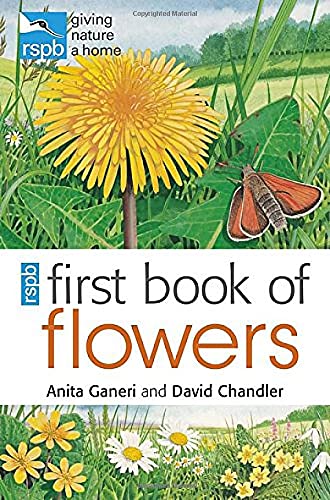 Book cover illustration of a yellow dandelion and butterfly in a grassy meadow.