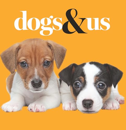 Two puppies with bright eyes on a yellow background.
