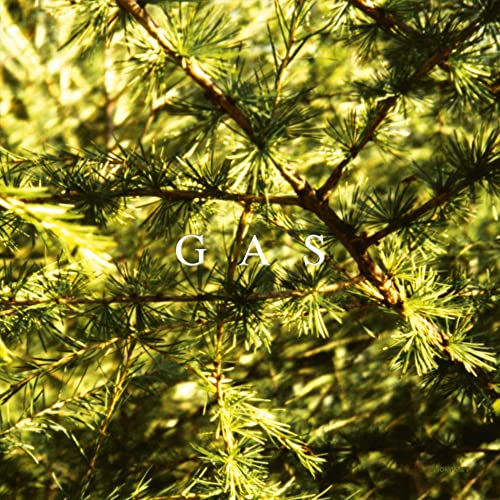 CD cover for Gas - Pop, featuring evergreen branches and white text.
