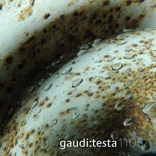 Close-up of a mottled, textured surface with water droplets.