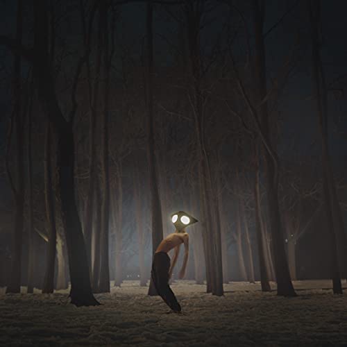 Figure with a bird-like mask stands in a dark, misty forest.