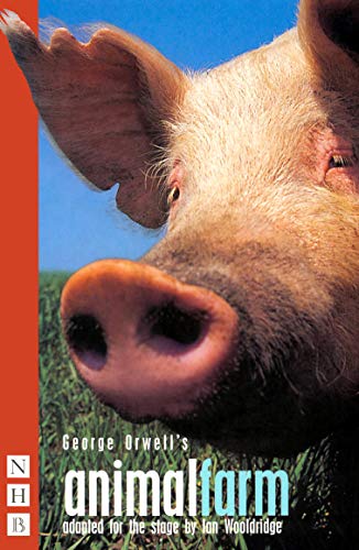 Close-up of a pig's face against a blue sky and green field background.