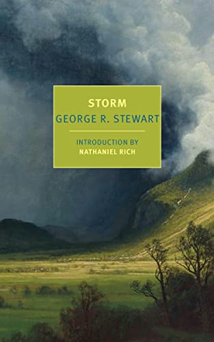 Book cover for “Storm” with a dramatic, cloudy sky background.