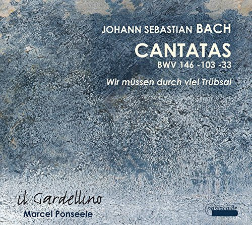 "CD cover with textured blue-grey background and white text featuring Johann Sebastian Bach's Cantatas."