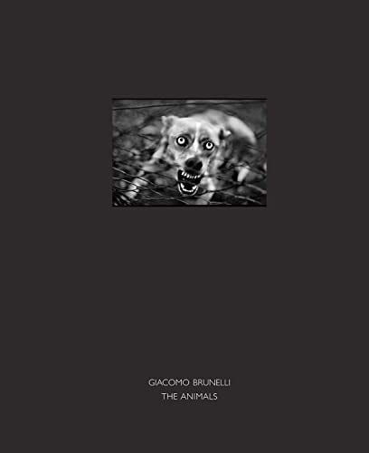 Black and white photo of a dog looking directly at the viewer.