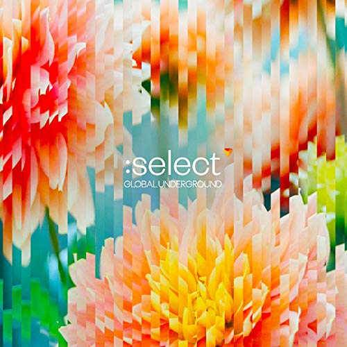 CD cover with pixelated floral design and “:select” text.