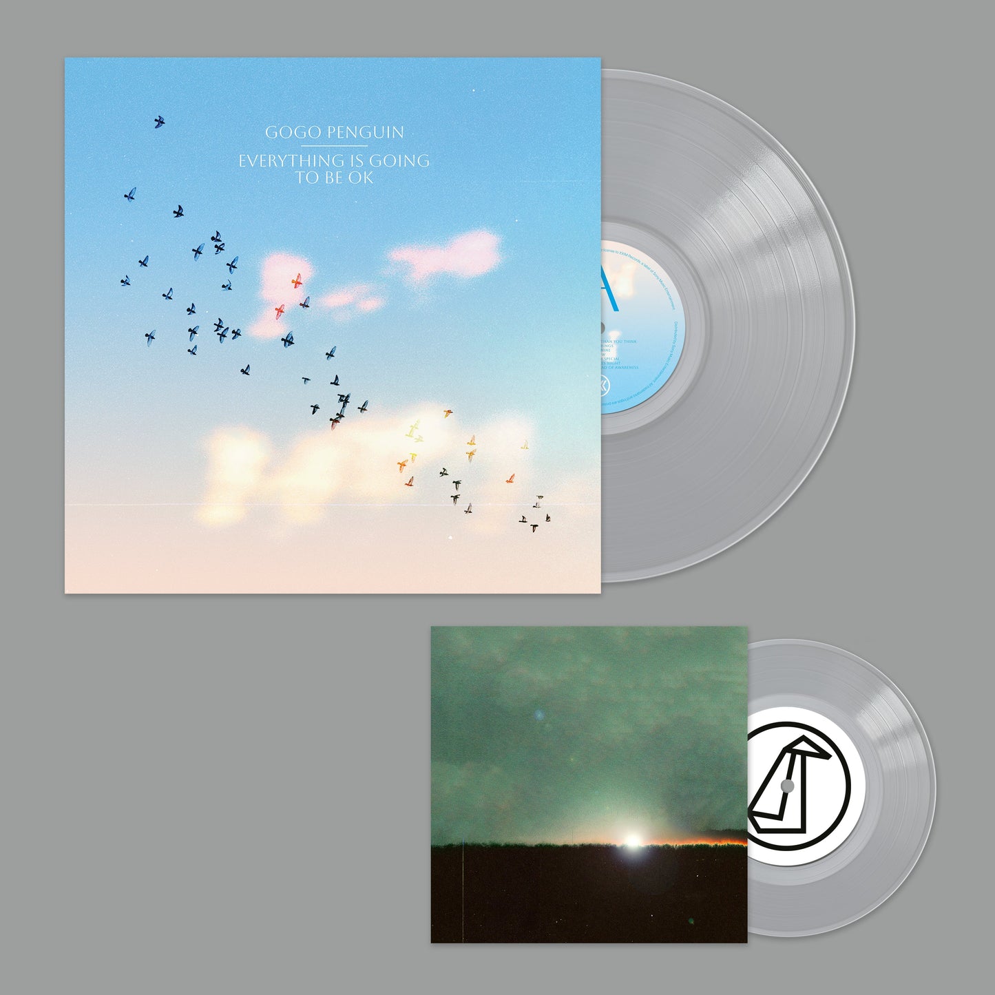 "Clear vinyl records with album cover featuring birds flying in a blue sky."