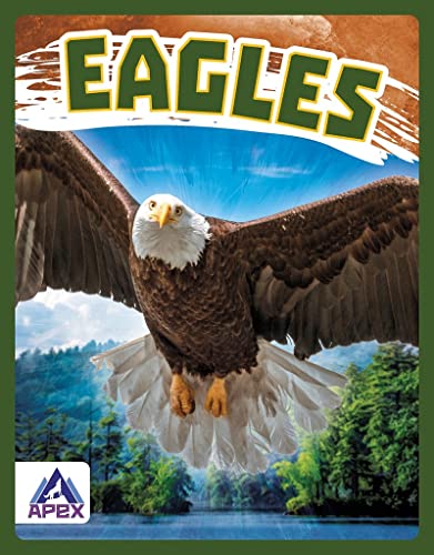 Book cover featuring a bald eagle in flight over a landscape.