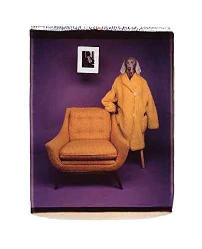 A dog wearing a yellow coat stands next to an orange chair against purple.