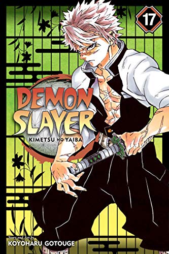 Manga volume 17 cover featuring a determined swordsman with a katana.