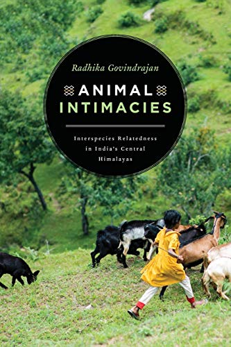 Book cover with a child running among goats in a Himalayan landscape.