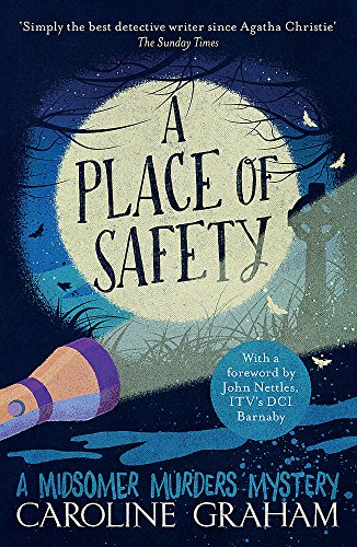 Book cover: dark landscape, full moon, and a flashlight beam.
