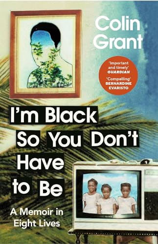 Book cover featuring a framed portrait, a television showing three children, and palm leaves.