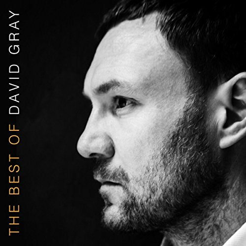 Black and white portrait of David Gray, album cover for "The Best Of".