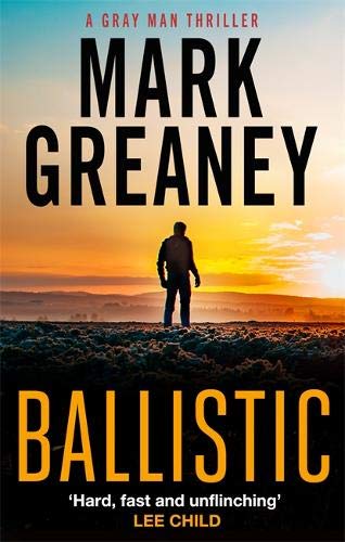 Book cover featuring a silhouette of a man standing in a field at sunset.