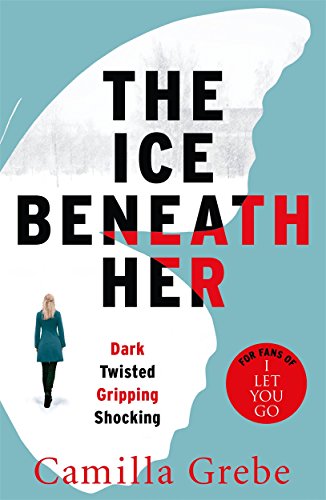 Book cover with large text, a woman’s silhouette, and icy blue shapes.