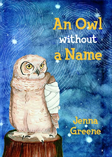 Book cover: illustrated owl with a bandaged wing, blue starry background.