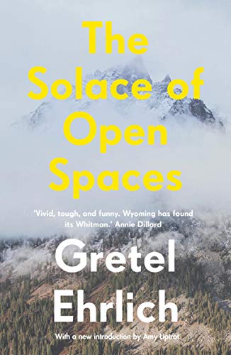 Book cover featuring a snowy mountain peak with yellow text and white author name.