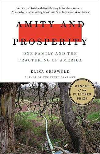 Book cover: “Amity and Prosperity” with a rural landscape background.