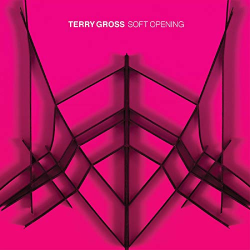 Terry Gross Soft Opening album cover featuring black geometric structures on a bright pink background.