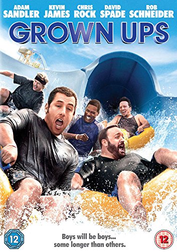 "Men sliding down a water slide, laughing and splashing, on a DVD cover."
