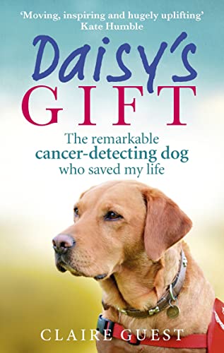 Book cover featuring a golden retriever and title "Daisy’s Gift".