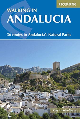 Book cover: Andalucian village and castle on a hilltop.
