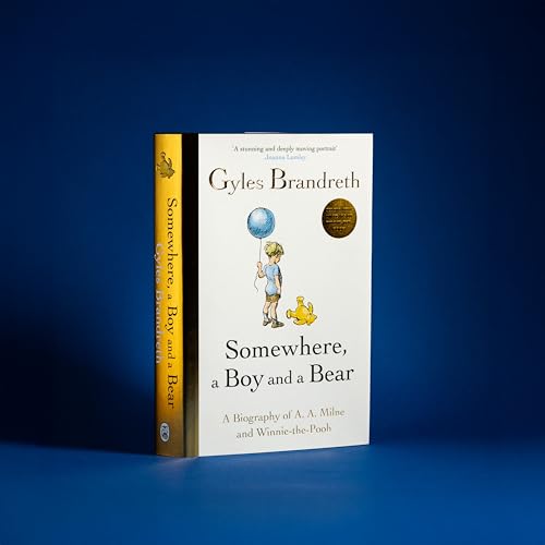 Book cover: “Somewhere, a Boy and a Bear” with illustration of boy and bear.