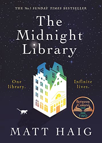 Book cover with starry night sky background and multicolored building with cat.