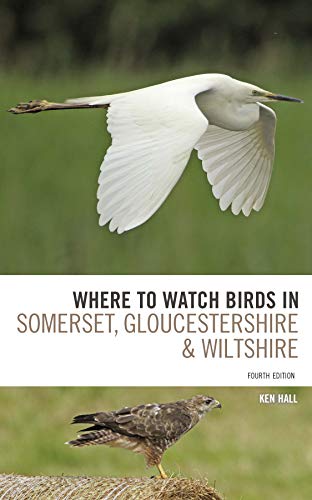 Book cover featuring a white egret in flight and a hawk on a bale.