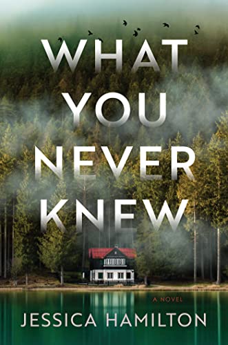 Book cover: "What You Never Knew" with a cabin in a misty forest.