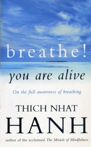Book cover with blue sky, ocean, and text by Thich Nhat Hanh.