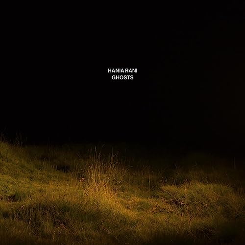 Hania Rani’s “Ghosts” album cover: a field with dark, moody lighting.