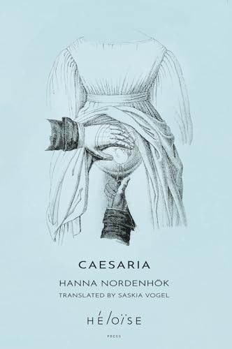 Book cover: sketch of a pregnant person’s torso and hands on belly.
