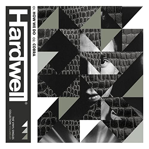 Hardwell vinyl single cover with geometric pattern and snake imagery.