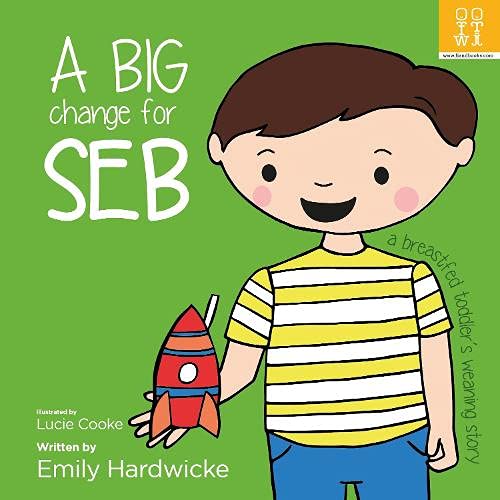 Book cover: Cartoon boy holding a red rocket on a green background.