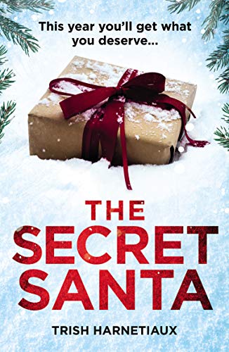 Book cover: wrapped gift with red ribbon on snowy background.