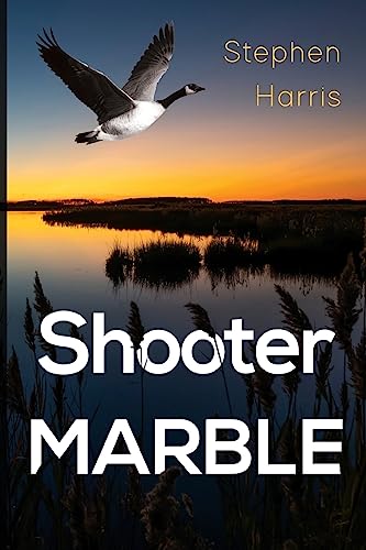 Book cover with a flying goose over a marsh at sunset.