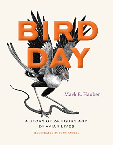 Book cover: "Bird Day" featuring a secretary bird in flight.