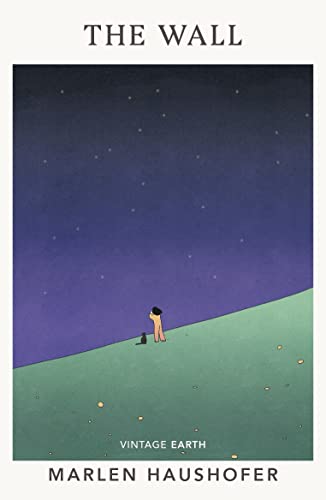 Book cover: a lone figure stands before a dark, starry sky and green hill.