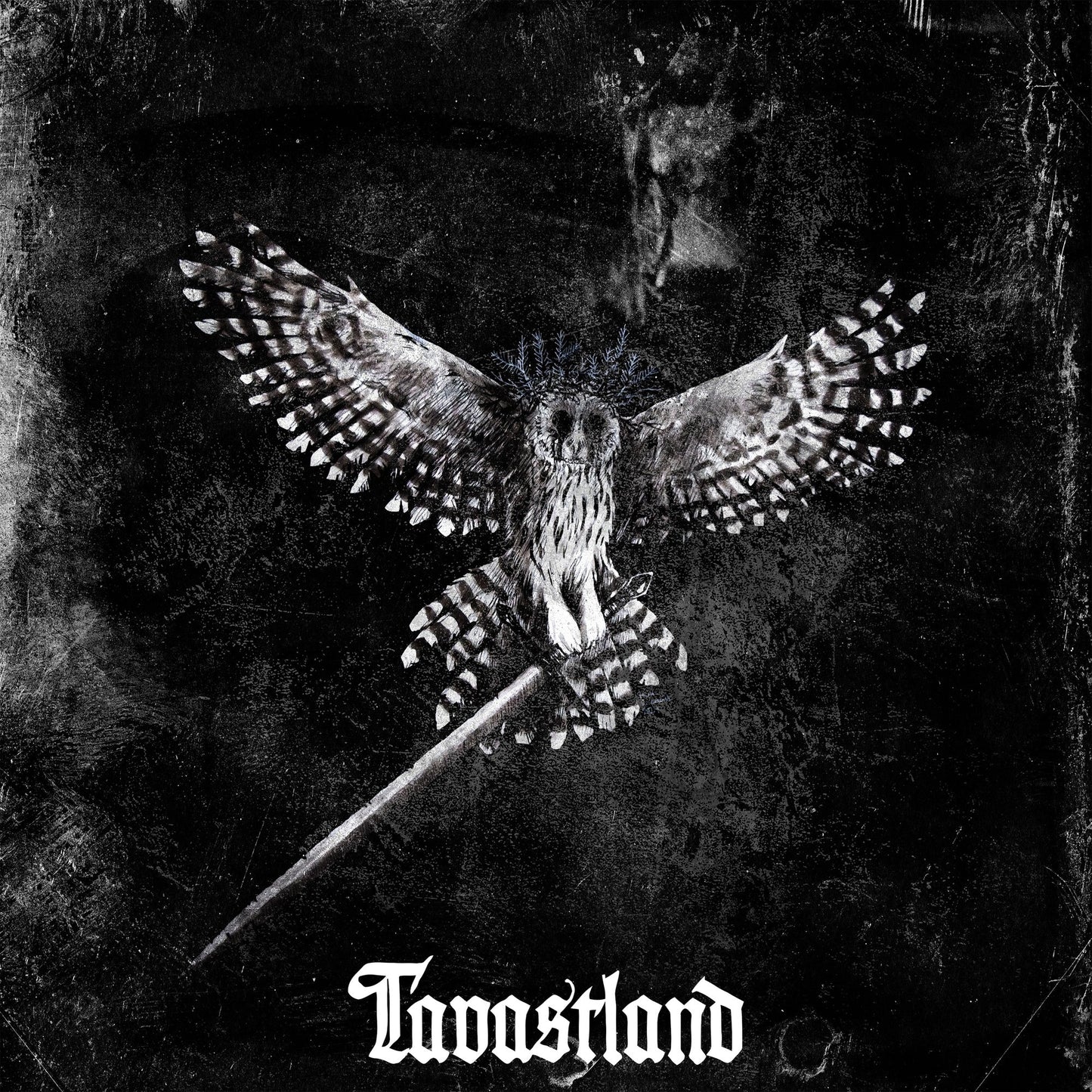 Black and white album cover featuring an owl with spread wings.