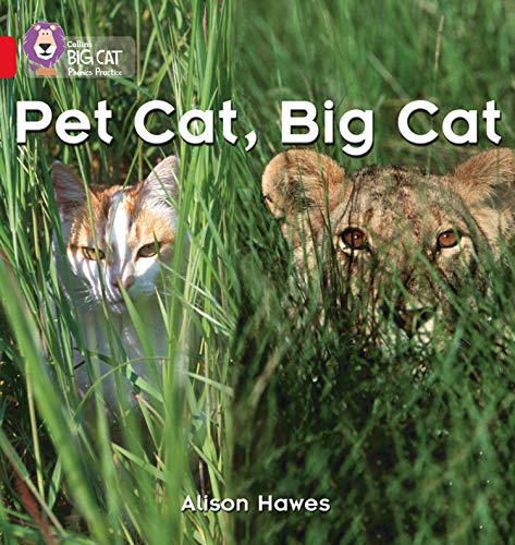 Book cover showing a domestic cat and a lion in tall grass.
