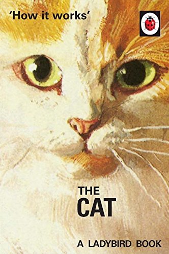 Book cover featuring a close-up of a cat's face with orange and white fur.