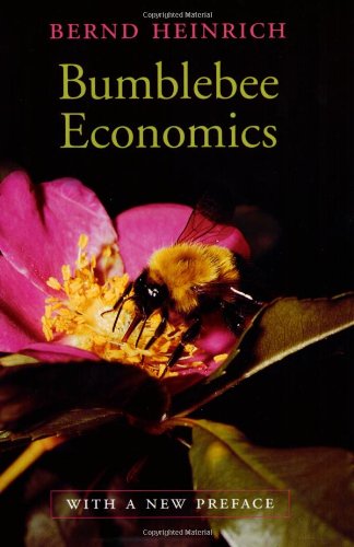 Book cover: "Bumblebee Economics" with a bee on a pink flower.
