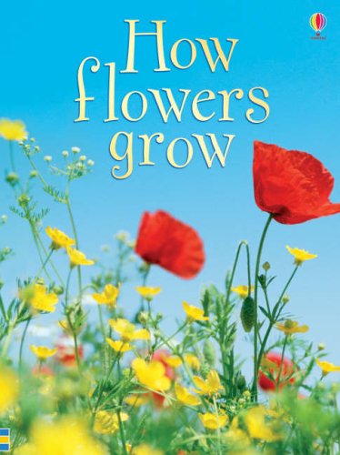 Book cover with red poppies and yellow wildflowers against a blue sky.